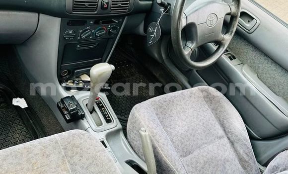 Nunua Ilio tumika Toyota Corolla Nyingine Gari ndani ya Maputo nchini Maputo Nunua Ilio tumika Toyota Corolla Nyingine Gari ndani ya Maputo nchini Maputo