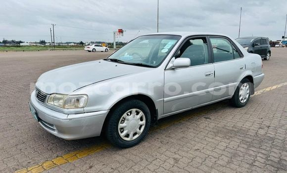 Nunua Ilio tumika Toyota Corolla Nyingine Gari ndani ya Maputo nchini Maputo Nunua Ilio tumika Toyota Corolla Nyingine Gari ndani ya Maputo nchini Maputo