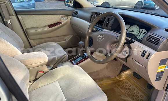 Tenga Tsaru Toyota Corolla Zvimwe Mota in Maputo in Maputo Tenga Tsaru Toyota Corolla Zvimwe Mota in Maputo in Maputo