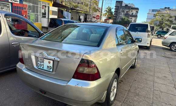 Tenga Tsaru Toyota Corolla Zvimwe Mota in Maputo in Maputo Tenga Tsaru Toyota Corolla Zvimwe Mota in Maputo in Maputo