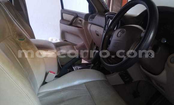 Tenga Tsaru Toyota Land Cruiser Chena Mota in Maputo in Maputo Tenga Tsaru Toyota Land Cruiser Chena Mota in Maputo in Maputo