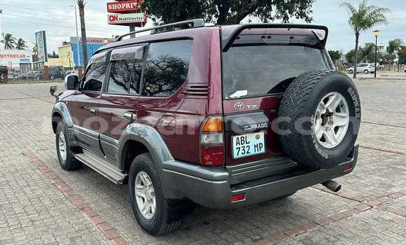 Tenga Tsaru Toyota Prado Zvimwe Mota in Maputo in Maputo Tenga Tsaru Toyota Prado Zvimwe Mota in Maputo in Maputo