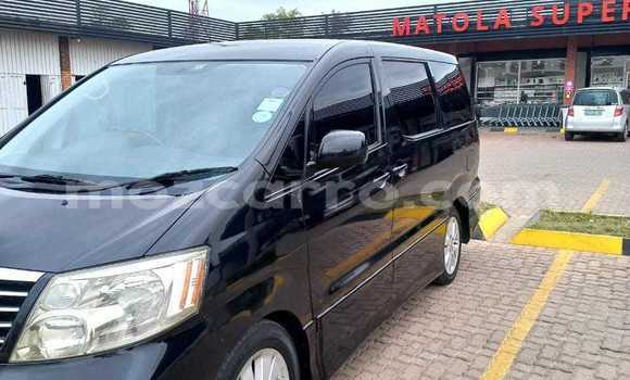 Tenga Tsaru Toyota Alphard Nhema Mota in Maputo in Maputo Tenga Tsaru Toyota Alphard Nhema Mota in Maputo in Maputo