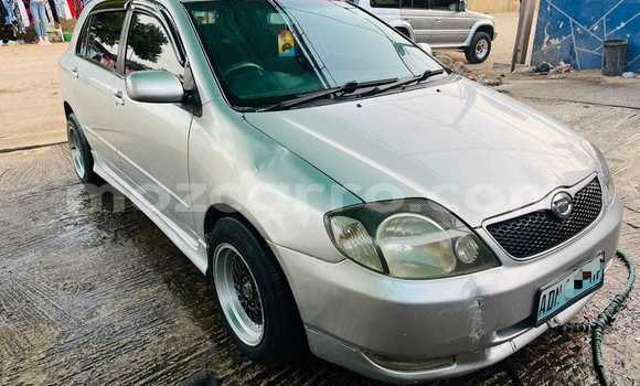 Nunua Ilio tumika Toyota Runx Nyingine Gari ndani ya Maputo nchini Maputo Nunua Ilio tumika Toyota Runx Nyingine Gari ndani ya Maputo nchini Maputo