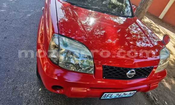 Buy Used Nissan X-Trail Red Car in Maputo in Maputo