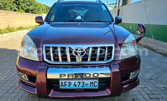 Tenga Tsaru Toyota Highlander Zvimwe Mota in Maputo in Maputo Tenga Tsaru Toyota Highlander Zvimwe Mota in Maputo in Maputo