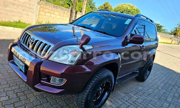 Tenga Tsaru Toyota Highlander Zvimwe Mota in Maputo in Maputo Tenga Tsaru Toyota Highlander Zvimwe Mota in Maputo in Maputo