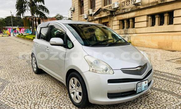 Buy Used Toyota Ractis Other Car in Maputo in Maputo