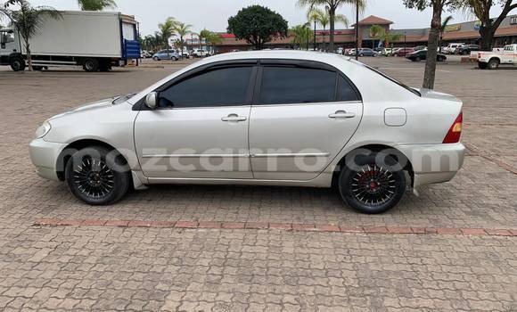 Tenga Tsaru Toyota Corolla Chena Mota in Maputo in Maputo Tenga Tsaru Toyota Corolla Chena Mota in Maputo in Maputo