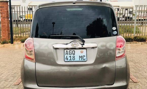 Buy Used Toyota Ractis Other Car in Maputo in Maputo Buy Used Toyota Ractis Other Car in Maputo in Maputo