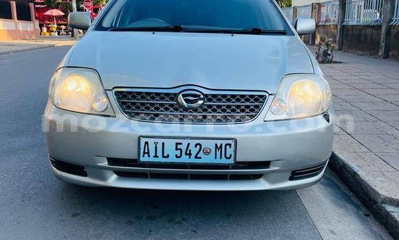 Buy Used Toyota Corolla Other Car in Maputo in Maputo