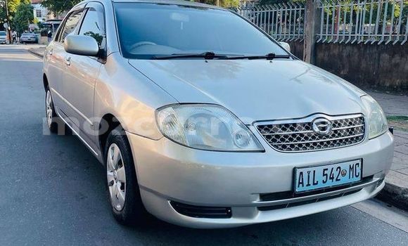 Tenga Tsaru Toyota Corolla Zvimwe Mota in Maputo in Maputo Tenga Tsaru Toyota Corolla Zvimwe Mota in Maputo in Maputo