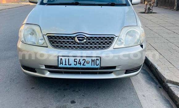Tenga Tsaru Toyota Corolla Zvimwe Mota in Maputo in Maputo Tenga Tsaru Toyota Corolla Zvimwe Mota in Maputo in Maputo