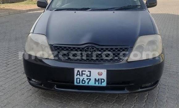 Buy Used Toyota Runx Black Car in Maputo in Maputo Buy Used Toyota Runx Black Car in Maputo in Maputo