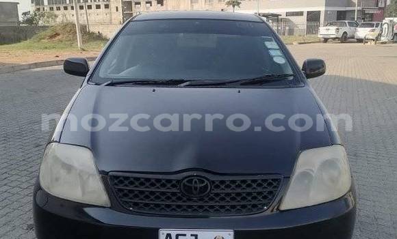 Buy Used Toyota Runx Black Car in Maputo in Maputo Buy Used Toyota Runx Black Car in Maputo in Maputo