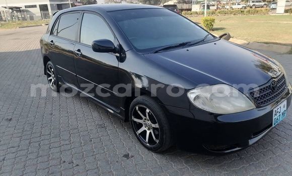 Buy Used Toyota Runx Black Car in Maputo in Maputo Buy Used Toyota Runx Black Car in Maputo in Maputo
