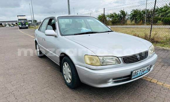 Tenga Tsaru Toyota Corolla Zvimwe Mota in Maputo in Maputo Tenga Tsaru Toyota Corolla Zvimwe Mota in Maputo in Maputo