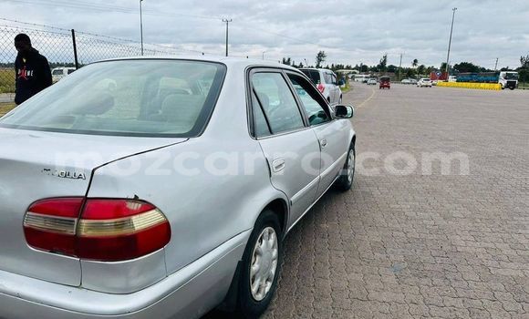 Tenga Tsaru Toyota Corolla Zvimwe Mota in Maputo in Maputo Tenga Tsaru Toyota Corolla Zvimwe Mota in Maputo in Maputo