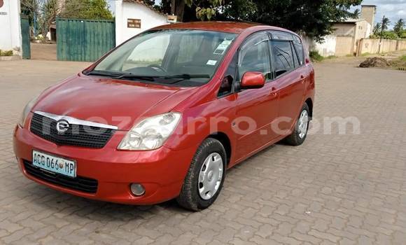 Buy Used Toyota Spacio Red Car in Maputo in Maputo