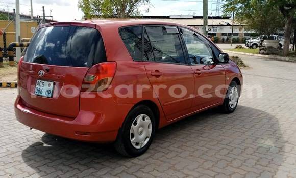 Buy Used Toyota Spacio Red Car in Maputo in Maputo Buy Used Toyota Spacio Red Car in Maputo in Maputo
