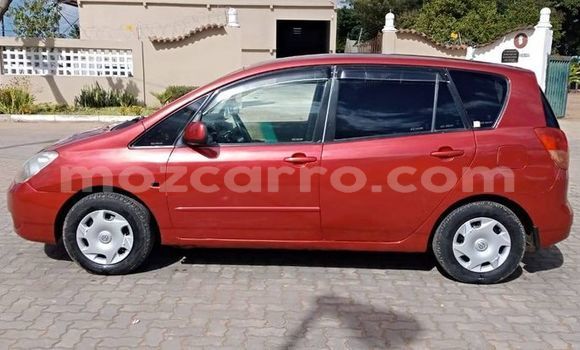 Buy Used Toyota Spacio Red Car in Maputo in Maputo Buy Used Toyota Spacio Red Car in Maputo in Maputo