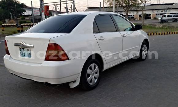 Tenga Tsaru Toyota Corolla Chena Mota in Maputo in Maputo Tenga Tsaru Toyota Corolla Chena Mota in Maputo in Maputo