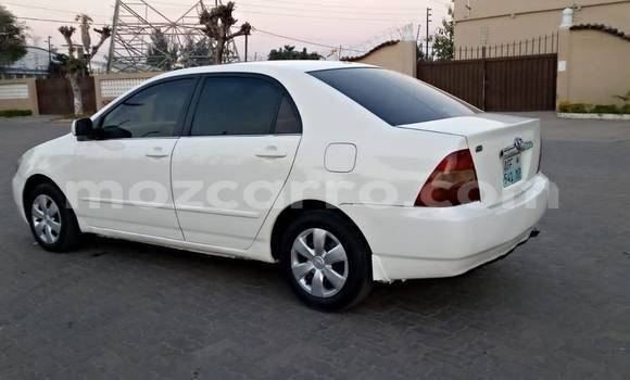 Tenga Tsaru Toyota Corolla Chena Mota in Maputo in Maputo Tenga Tsaru Toyota Corolla Chena Mota in Maputo in Maputo