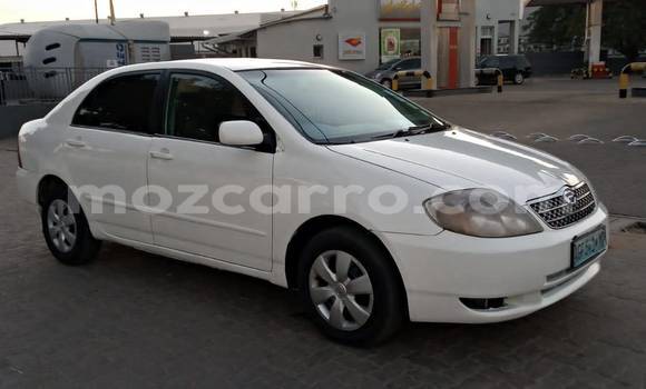 Tenga Tsaru Toyota Corolla Chena Mota in Maputo in Maputo Tenga Tsaru Toyota Corolla Chena Mota in Maputo in Maputo