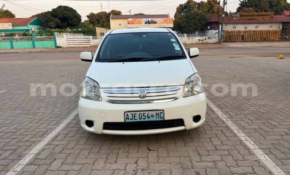 Tenga Tsaru Toyota Raum Chena Mota in Maputo in Maputo Tenga Tsaru Toyota Raum Chena Mota in Maputo in Maputo