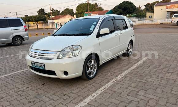 Tenga Tsaru Toyota Raum Chena Mota in Maputo in Maputo Tenga Tsaru Toyota Raum Chena Mota in Maputo in Maputo