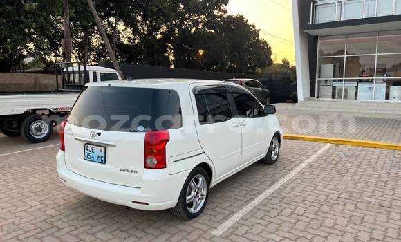 Tenga Tsaru Toyota Raum Chena Mota in Maputo in Maputo Tenga Tsaru Toyota Raum Chena Mota in Maputo in Maputo