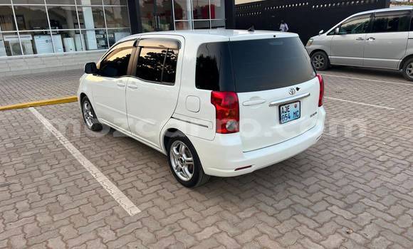 Tenga Tsaru Toyota Raum Chena Mota in Maputo in Maputo Tenga Tsaru Toyota Raum Chena Mota in Maputo in Maputo