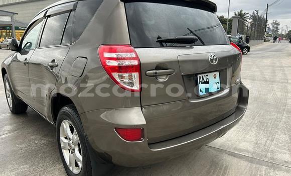 Buy Used Toyota RAV4 Other Car in Maputo in Maputo Buy Used Toyota RAV4 Other Car in Maputo in Maputo