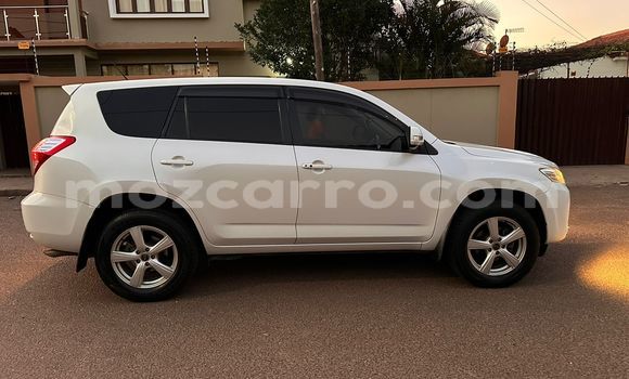 Buy Used Toyota Vanguard White Car in Maputo in Maputo Buy Used Toyota Vanguard White Car in Maputo in Maputo