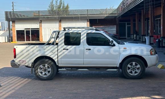 Nunua Ilio tumika Nissan Hardbody Nyeupe Gari ndani ya Maputo nchini Maputo Nunua Ilio tumika Nissan Hardbody Nyeupe Gari ndani ya Maputo nchini Maputo