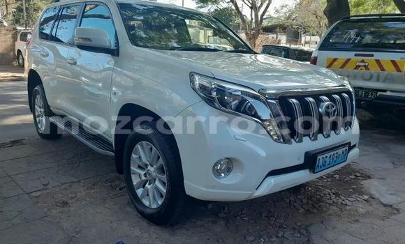 Tenga Tsaru Toyota Prado Chena Mota in Maputo in Maputo