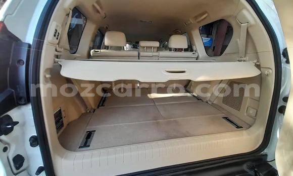 Buy Used Toyota Prado White Car in Maputo in Maputo Buy Used Toyota Prado White Car in Maputo in Maputo
