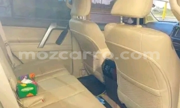 Tenga Tsaru Toyota Land Cruiser Prado Chena Mota in Maputo in Maputo Tenga Tsaru Toyota Land Cruiser Prado Chena Mota in Maputo in Maputo