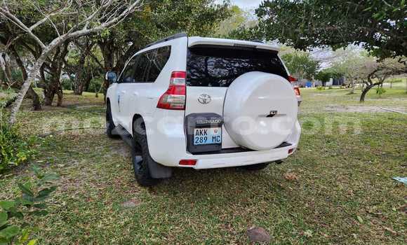 Nunua Ilio tumika Toyota Land Cruiser Prado Nyeupe Gari ndani ya Soft nchini Gaza Nunua Ilio tumika Toyota Land Cruiser Prado Nyeupe Gari ndani ya Soft nchini Gaza