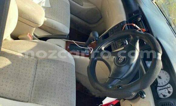 Buy Used Toyota Runx Other Car in Maputo in Maputo Buy Used Toyota Runx Other Car in Maputo in Maputo