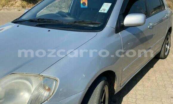 Tenga Tsaru Toyota Runx Zvimwe Mota in Maputo in Maputo Tenga Tsaru Toyota Runx Zvimwe Mota in Maputo in Maputo