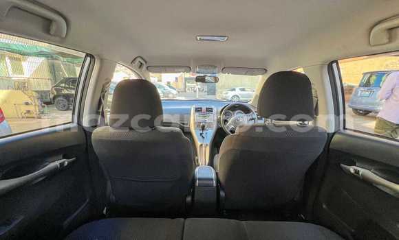 Tenga Tsaru Toyota Auris Zvimwe Mota in Maputo in Maputo Tenga Tsaru Toyota Auris Zvimwe Mota in Maputo in Maputo