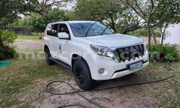 Tenga Tsaru Toyota Land Cruiser Prado Chena Mota in Maputo in Maputo Tenga Tsaru Toyota Land Cruiser Prado Chena Mota in Maputo in Maputo