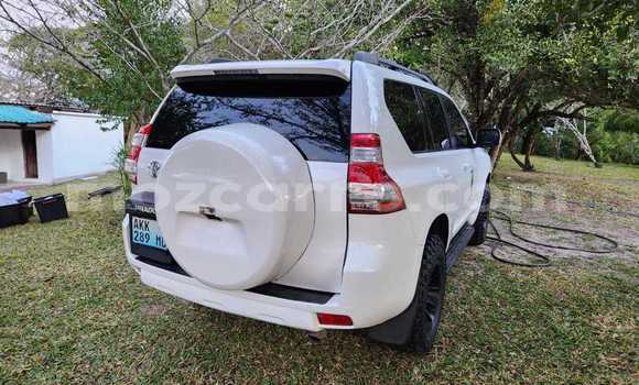Tenga Tsaru Toyota Land Cruiser Prado Chena Mota in Maputo in Maputo Tenga Tsaru Toyota Land Cruiser Prado Chena Mota in Maputo in Maputo