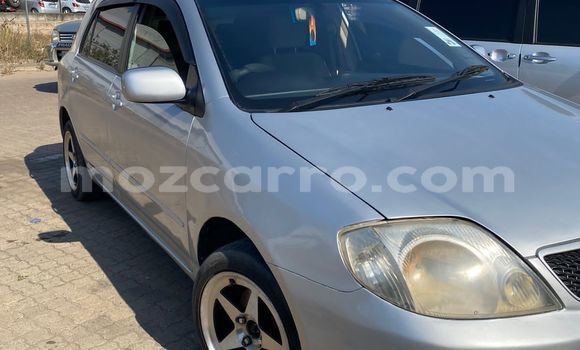 Buy Used Toyota Runx Other Car in Maputo in Maputo Buy Used Toyota Runx Other Car in Maputo in Maputo