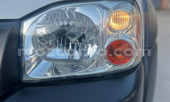 Tenga Tsaru Nissan Hardbody Chena Mota in Maputo in Maputo Tenga Tsaru Nissan Hardbody Chena Mota in Maputo in Maputo