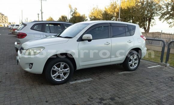 Buy Used Toyota RAV4 White Car in Maputo in Maputo Buy Used Toyota RAV4 White Car in Maputo in Maputo