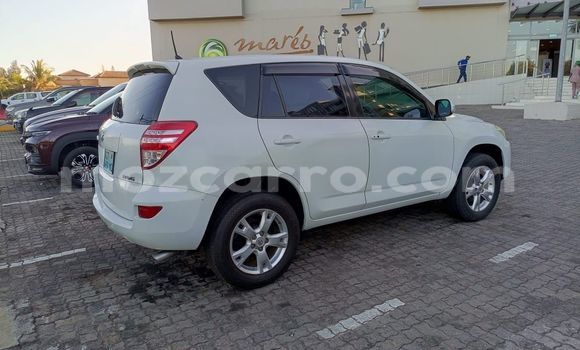Buy Used Toyota RAV4 White Car in Maputo in Maputo Buy Used Toyota RAV4 White Car in Maputo in Maputo
