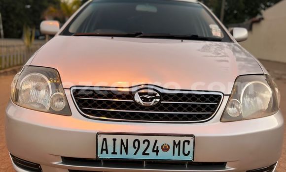 Tenga Tsaru Toyota Runx Zvimwe Mota in Maputo in Maputo Tenga Tsaru Toyota Runx Zvimwe Mota in Maputo in Maputo