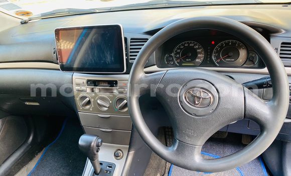 Buy Used Toyota Runx Blue Car in Maputo in Maputo Buy Used Toyota Runx Blue Car in Maputo in Maputo